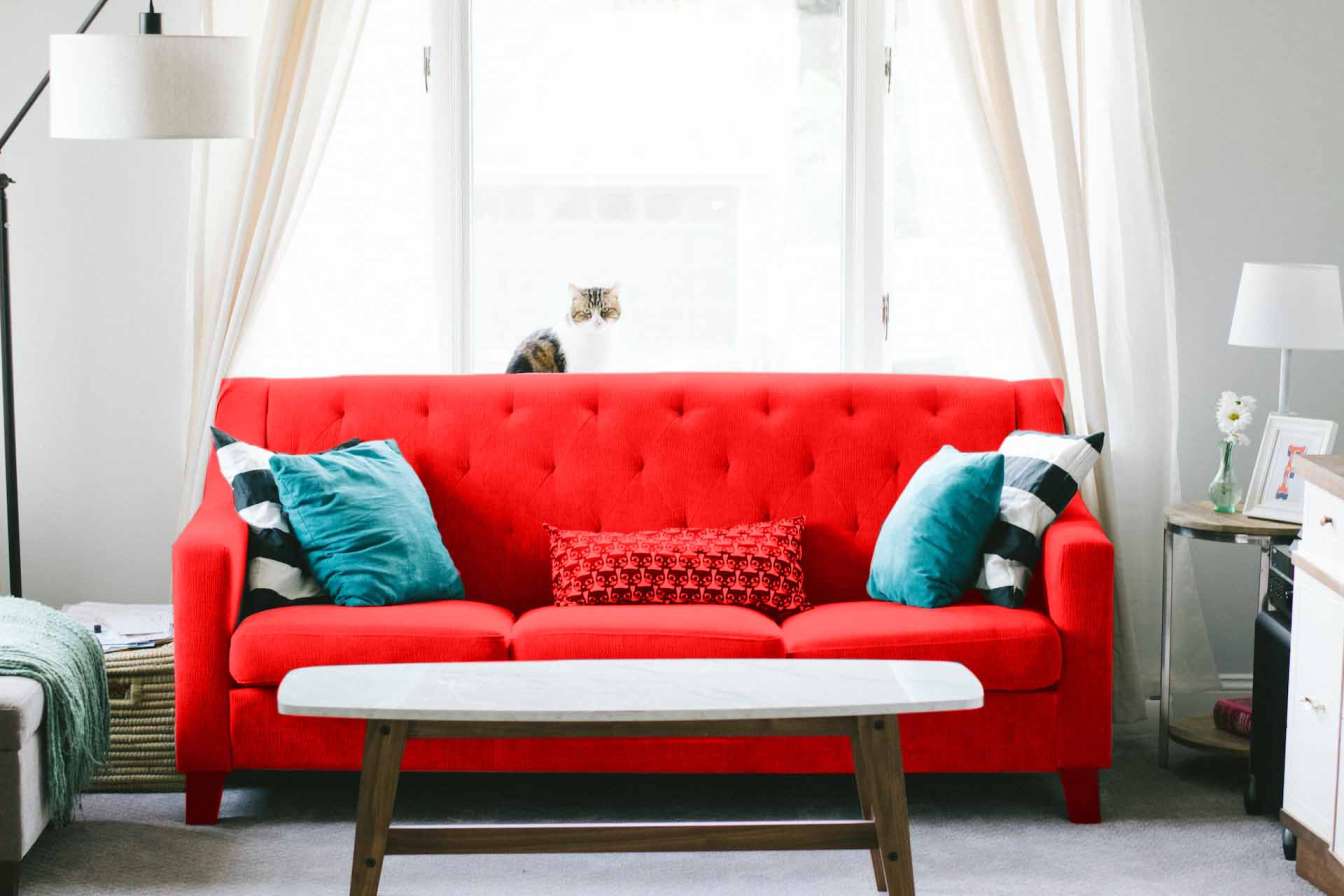 Cushion Ideas for Red Sofas